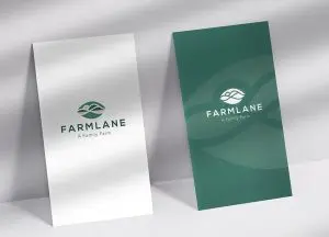 brand marketing agency, farmlane