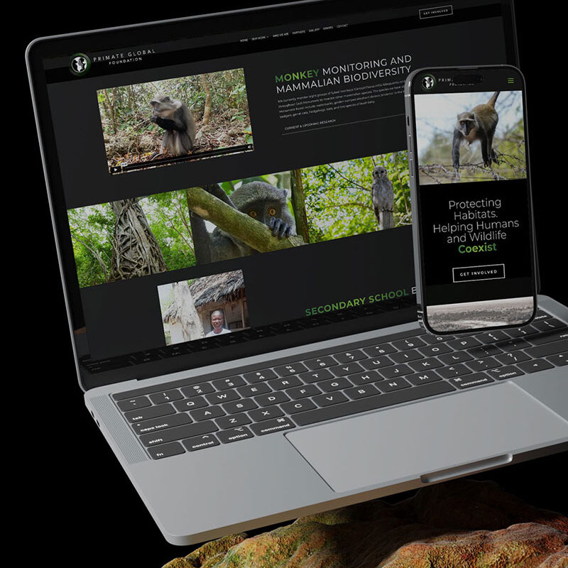 answer engine optimization agency